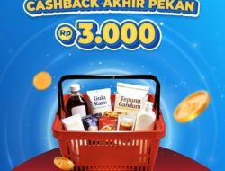 Cashback DANA: Cara Mendapatkan dan Menggunakannya