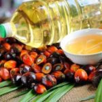 Harga CPO Dunia Bergerak, Apa Dampaknya bagi Industri Sawit Indonesia? IMG-20261009-WA0014
